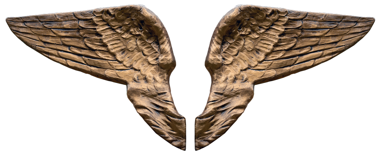 a pair of angel wings on a black background, a digital rendering, baroque, bronze skinned, 7 0 mm. digital art, closeup photo, 3 2 k