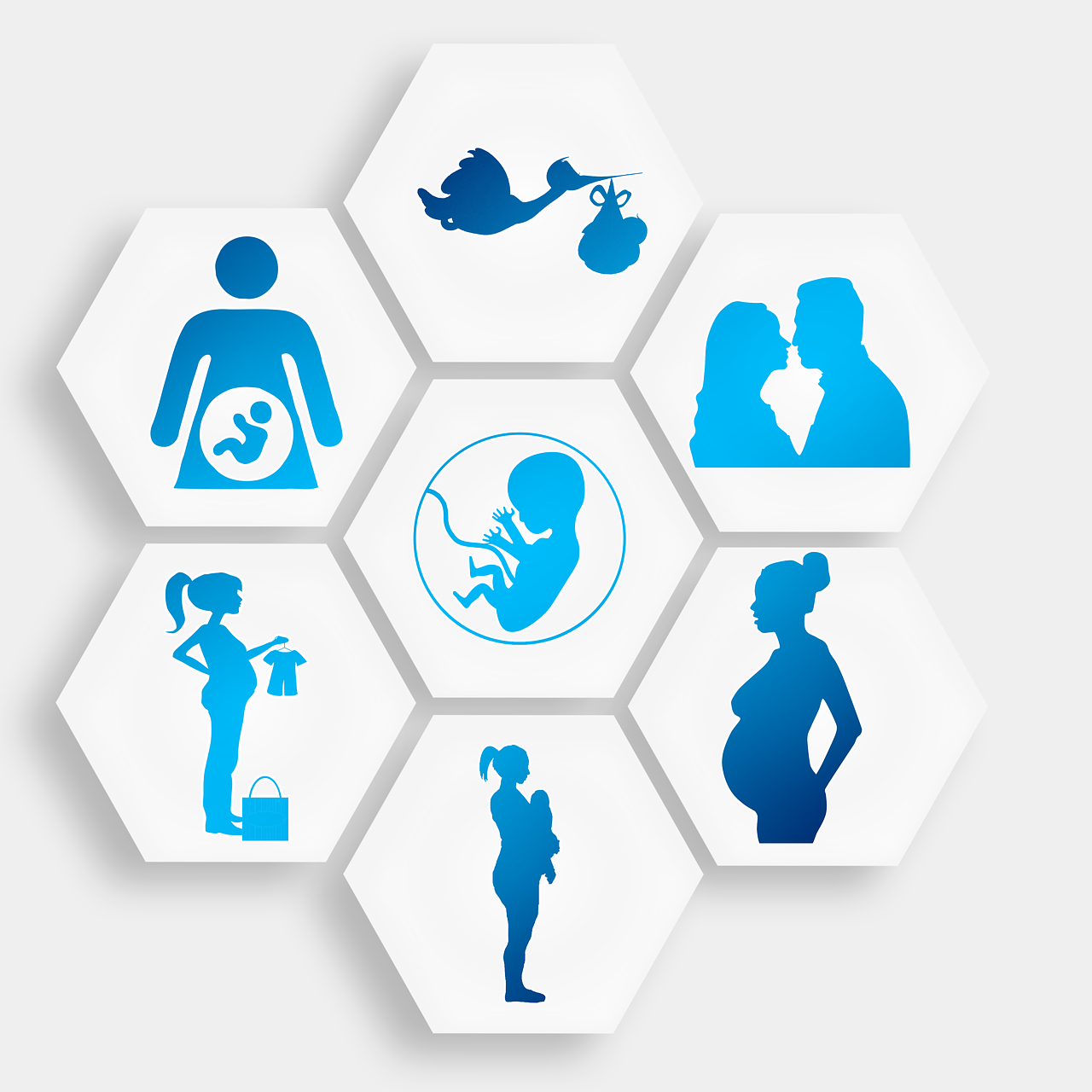 a set of six hexagons with silhouettes of pregnant people, trending on pixabay, conceptual art, with organs, blue print, clean image, family photo