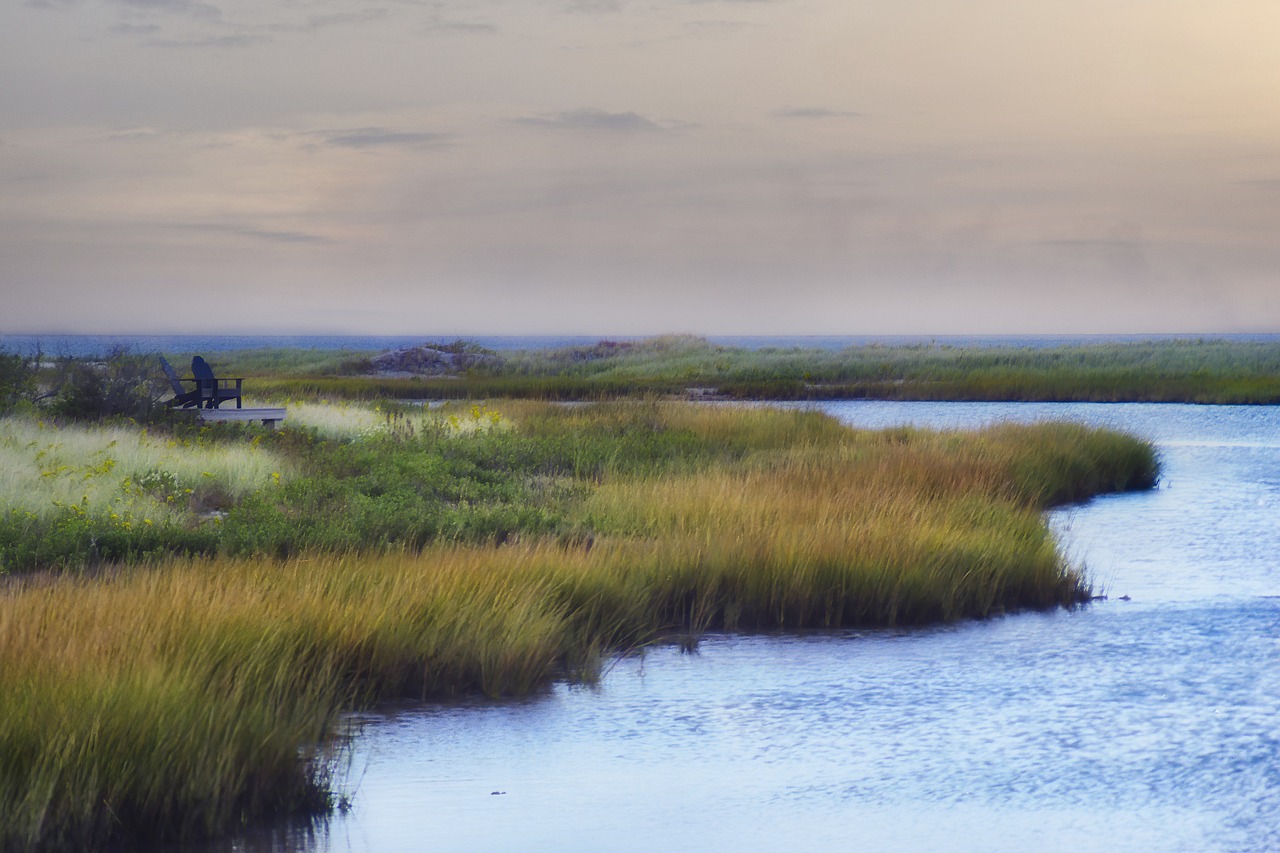a large body of water surrounded by tall grass, by Thomas M. Baxa, unsplash, fine art, banner, marshes, louisiana, tundra