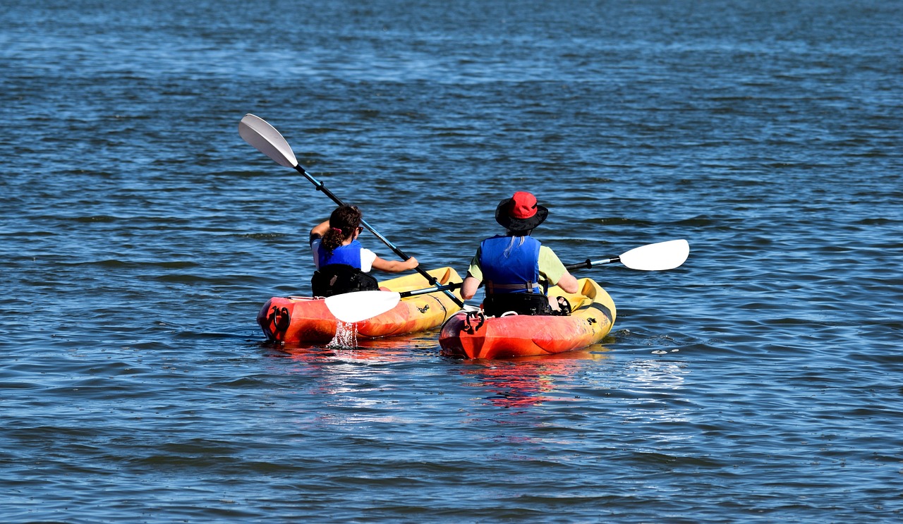 two people in a kayak paddling in the water, by Tom Carapic, pixabay, bright sunny day, candid photograph, in a row, 4 0 9 6