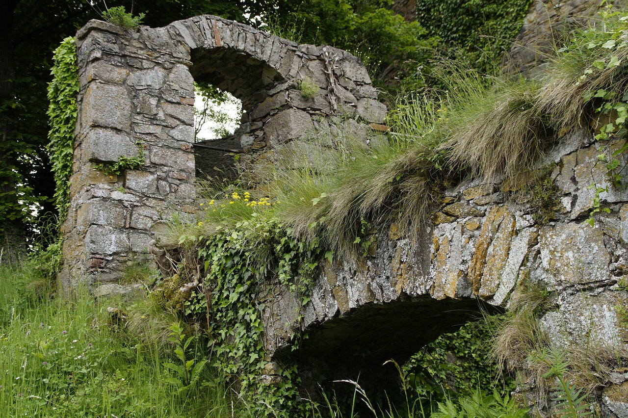 a sheep standing on top of a lush green hillside, by Robert Brackman, flickr, renaissance, old stone bridge over the creek, ancient overgrown! ruins, detail structure, entrance to 1900's mine