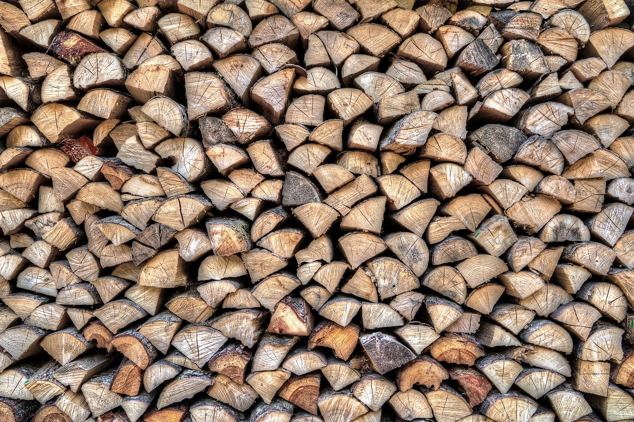 a pile of chopped wood sitting next to each other, a stock photo, by Sigmund Freudenberger, renaissance, iphone wallpaper, very sharp and detailed image, highly detailed hdr, 1128x191 resolution