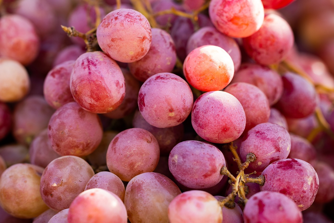 a close up of a bunch of grapes, barely lit warm violet red light, high quality product image”