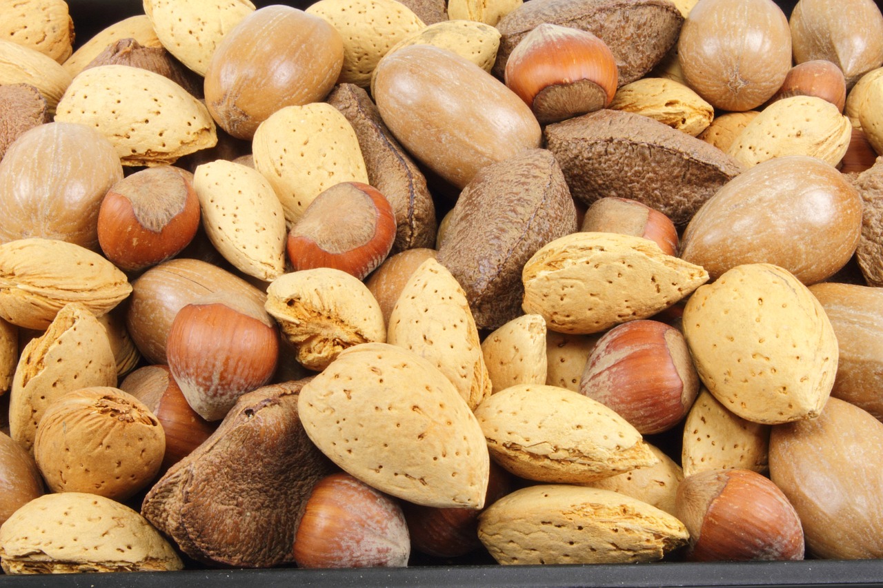 a pile of nuts sitting on top of a table, by Josef Navrátil, detailed zoom photo, hd —h 1024, 3 2 x 3 2, portlet photo