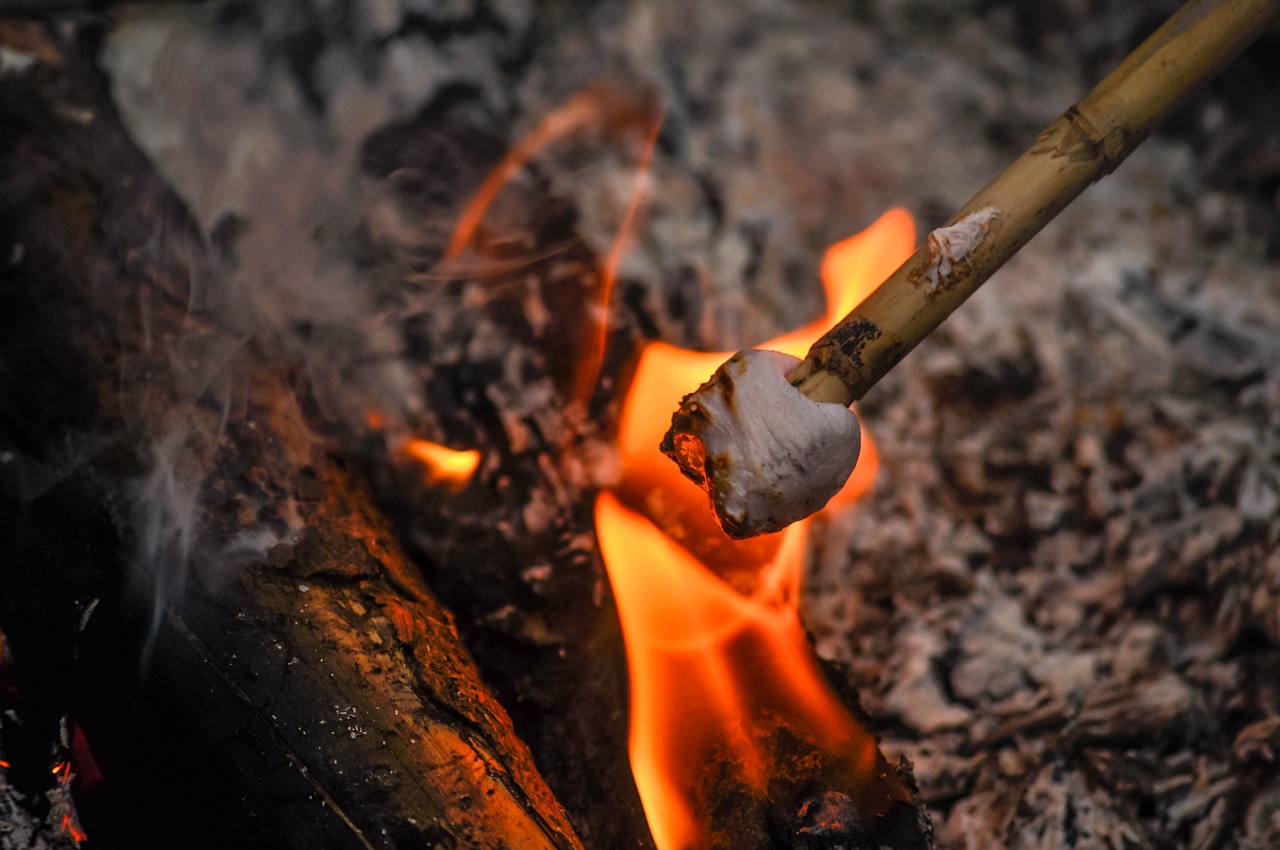 a marshbeak roasting on a stick over a fire, by Mirko Rački, pexels, marshmallows, photograph credit: ap, morning detail, eating