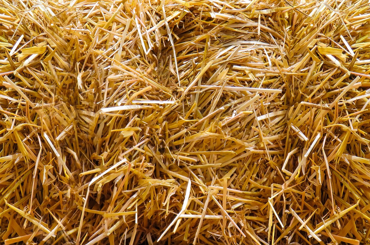 a pile of hay sitting on top of a field, a macro photograph, flat texture, hd —h 1024, with a straw, yellow carpeted