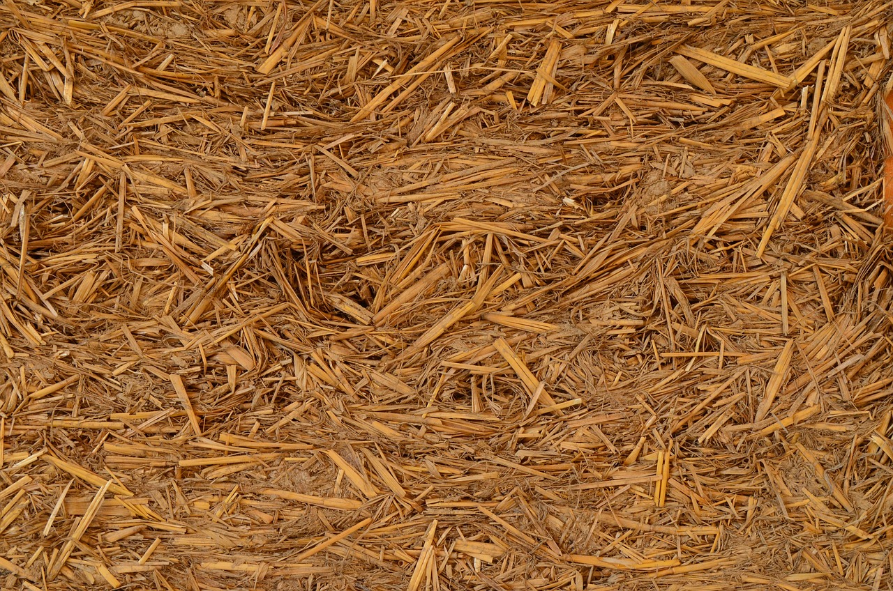 a close up of a pile of straw, a stock photo, by Aurél Bernáth, process art, floor texture, phone wallpaper, redwood background, high resolution product photo