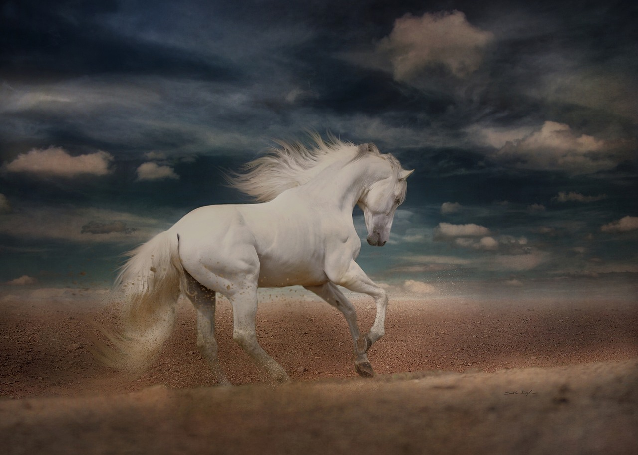 a white horse running in the desert under a cloudy sky, digital art, art photography, alejandro, stunning beauty, caravagio, white hairs