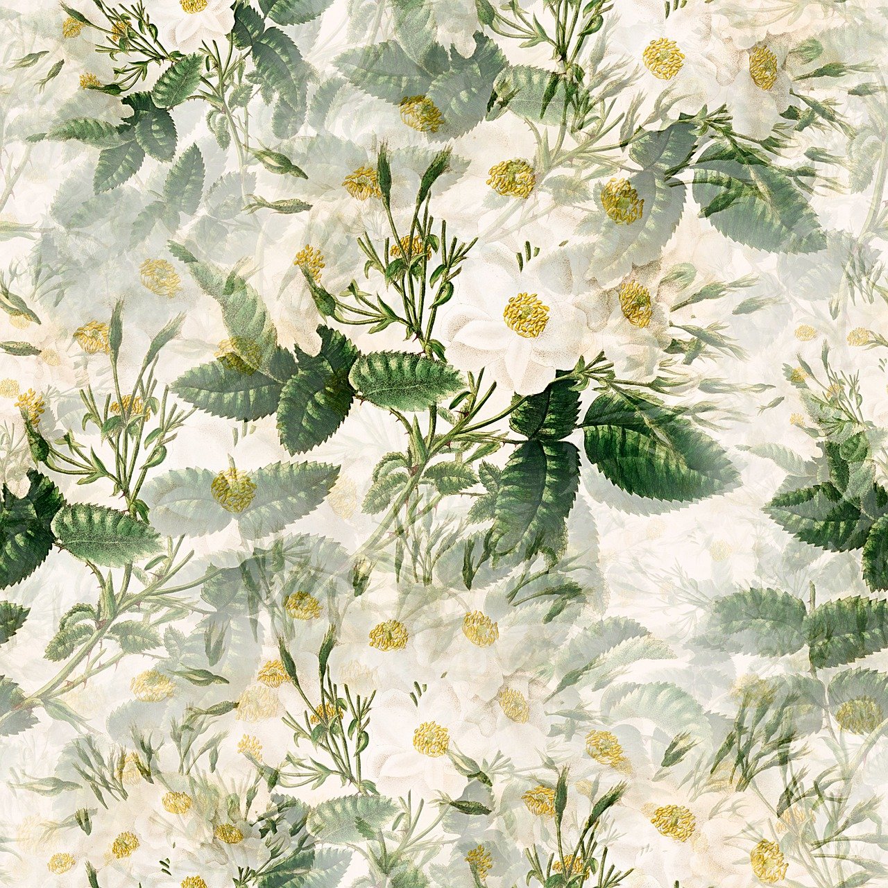 a floral wallpaper with white flowers and green leaves, a digital rendering, inspired by Louisa Chase, tumblr, multiexposure, buttercups, nineteenth century, dmitry mazurkevich