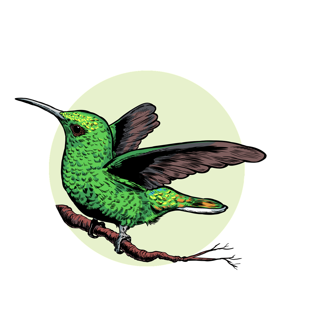 a green bird sitting on top of a tree branch, an illustration of, digital art, hummingbird, highly detailed ink illustration, on a black background, cartoon style illustration