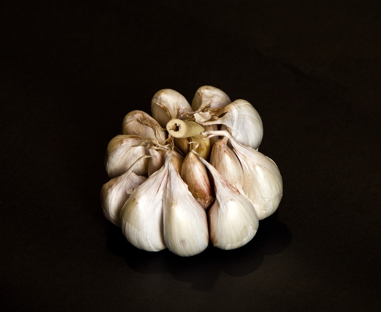 a bunch of garlic sitting on top of a table, a macro photograph, by Jan Rustem, hyperrealism, caravaggio style, small ears, white on black, snail