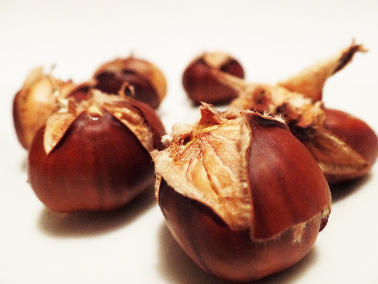 a group of chestnuts sitting on top of a table, a macro photograph, by Yasushi Sugiyama, with a white background, slightly erotic, illustration!, noot noot