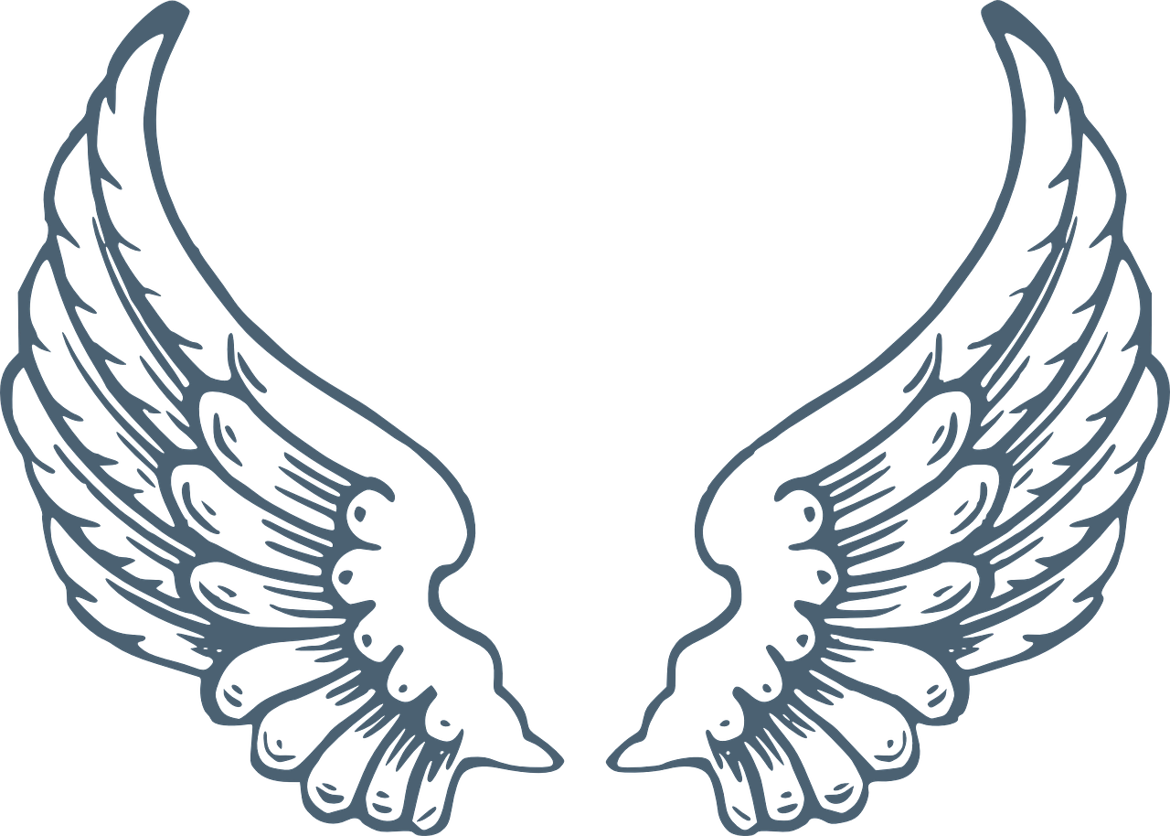 a pair of wings on a black background, inspired by Mór Adler, deviantart, art nouveau, neck zoomed in, blue gray, image