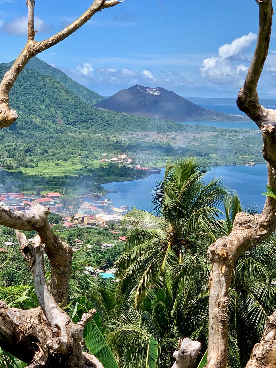 a bird sitting on top of a tree next to a body of water, sumatraism, in the foreground a small town, volcano valley, 🦩🪐🐞👩🏻🦳, viewed from above