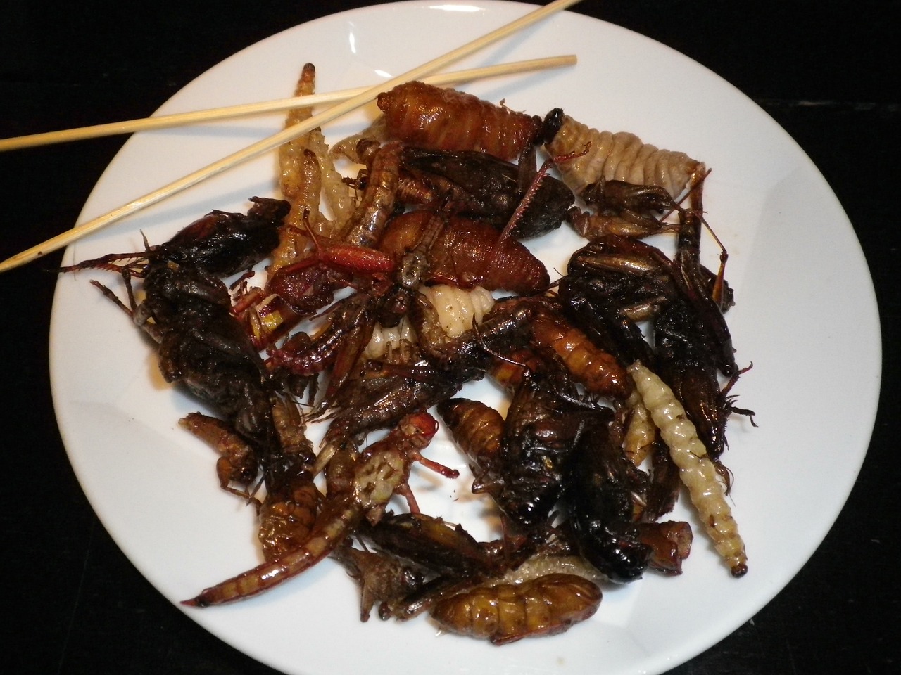 a white plate topped with lots of fried insects, by Alison Watt, flickr, hurufiyya, wasps, chinese, insectile forearms folded, family dinner