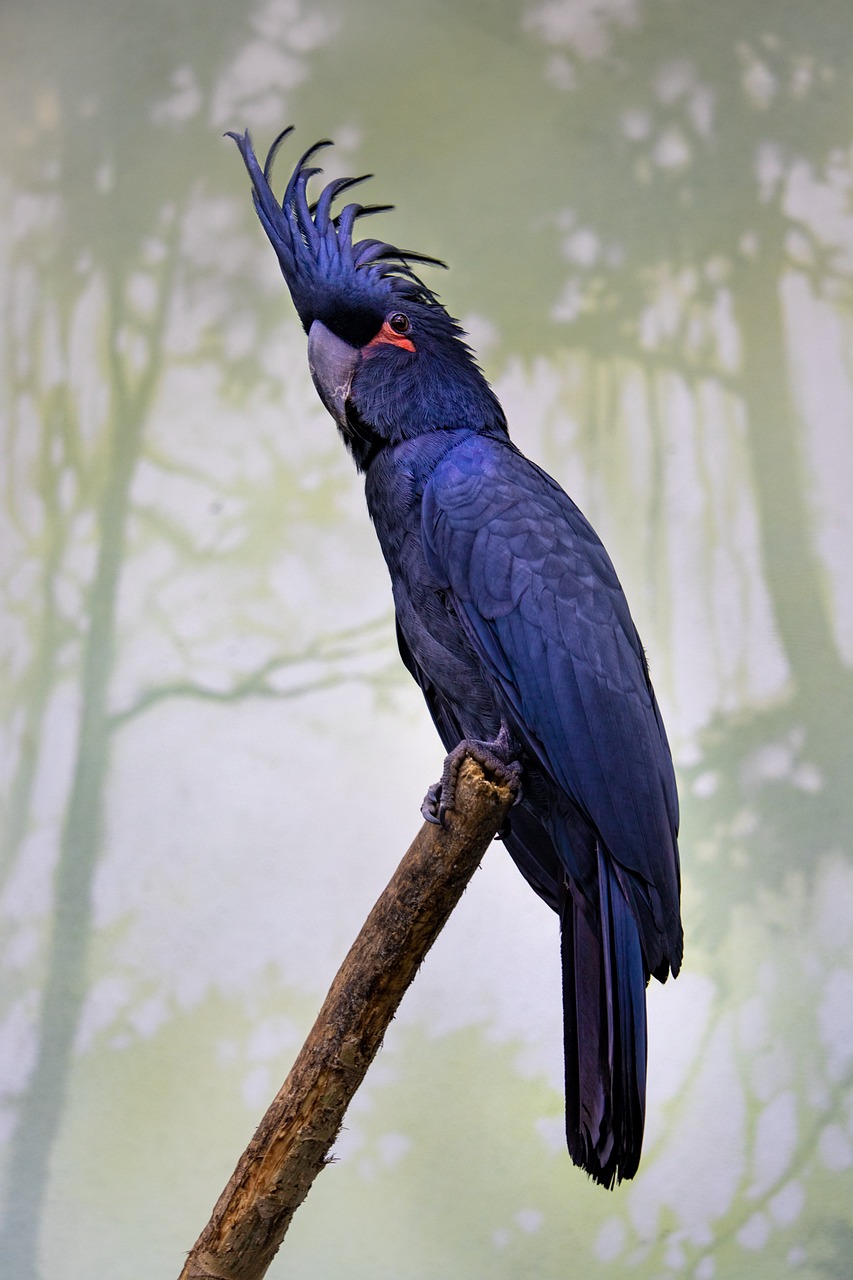 a blue bird sitting on top of a tree branch, a portrait, inspired by Charles Bird King, shutterstock, bauhaus, with a big parrot, preserved museum piece, highly detailed photo 4k, stock photo