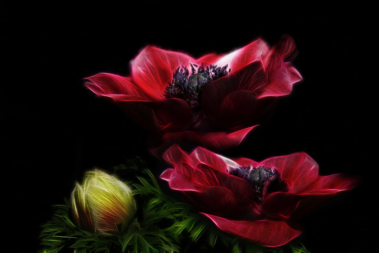 a close up of two red flowers in a vase, a digital painting, art photography, anemone, glowing in the dark, very beautiful photo, digital art. photo realistic