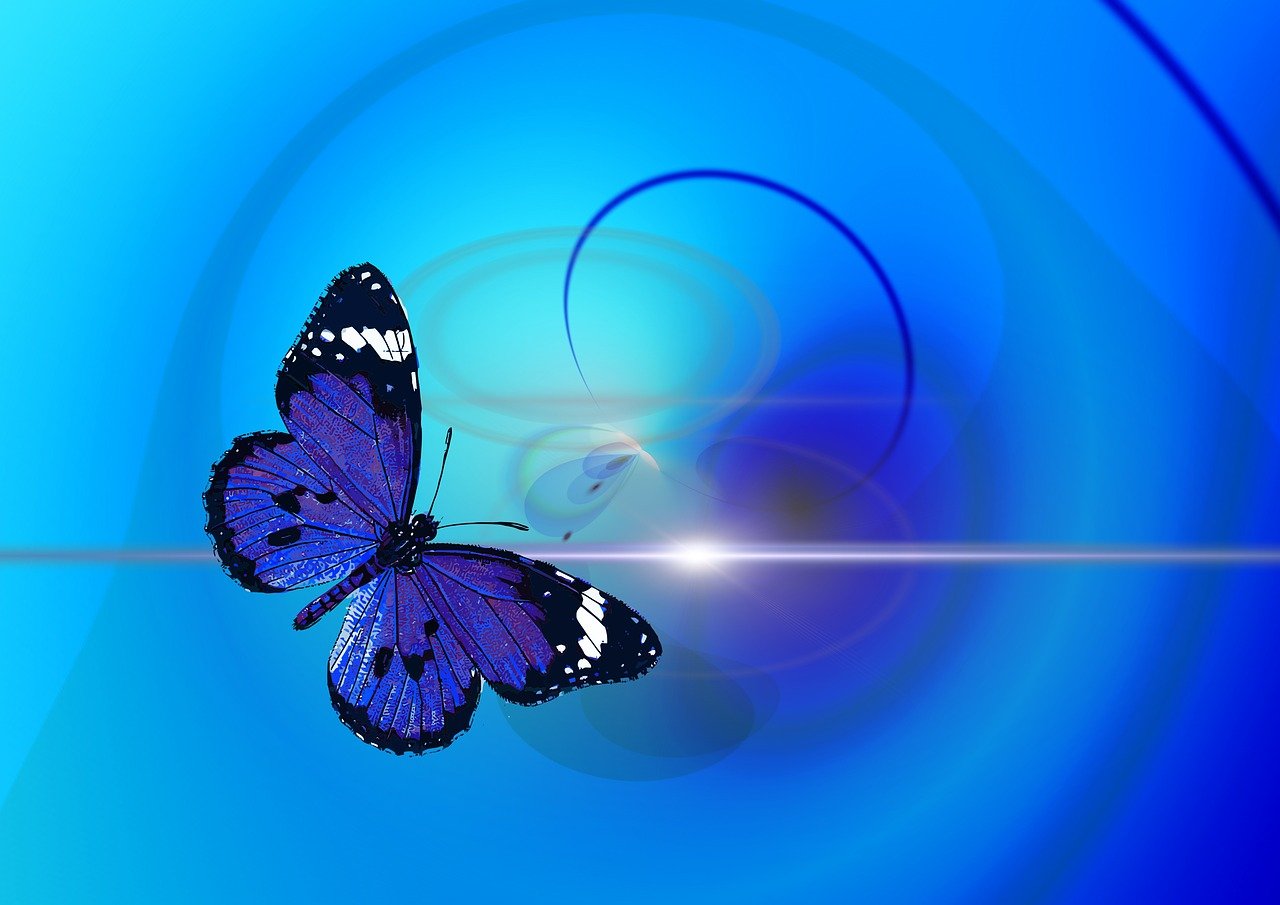 a blue butterfly sitting on top of a wire, an illustration of, digital art, difraction of light, air brush illustration, portlet photo, a beautiful artwork illustration
