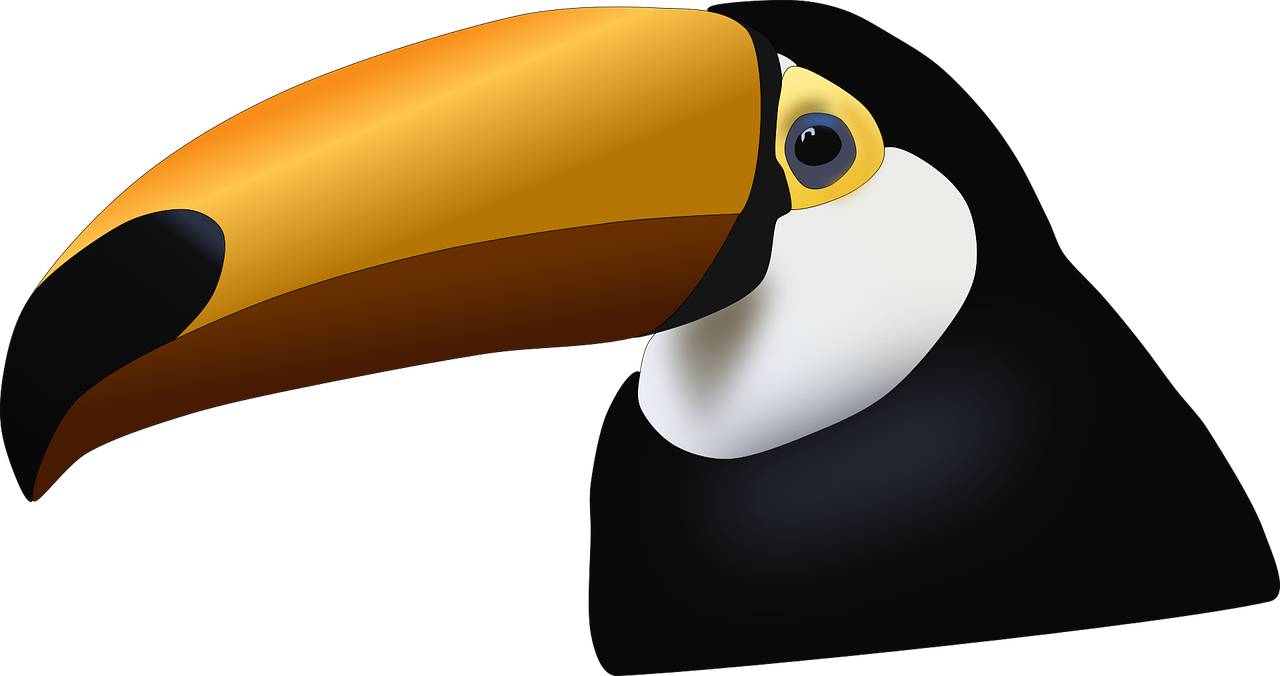 a close up of a toucan's face on a black background, vector art, pixabay, cobra, computer generated, slightly larger nose, toon, left profile
