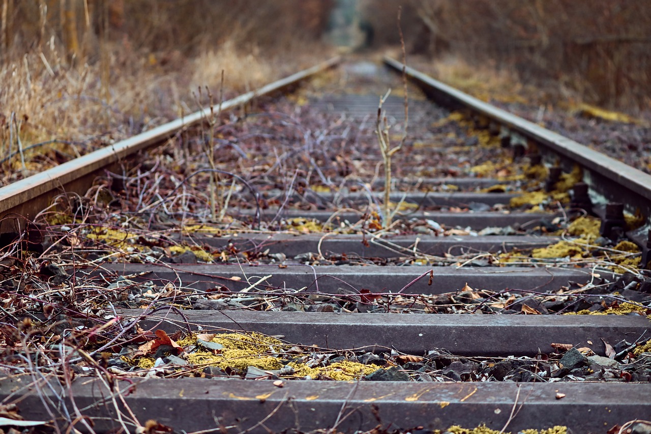 a close up of a train track with trees in the background, a picture, by Anna Haifisch, leaves twigs wood, phone wallpaper, 4 0 9 6, abandoned
