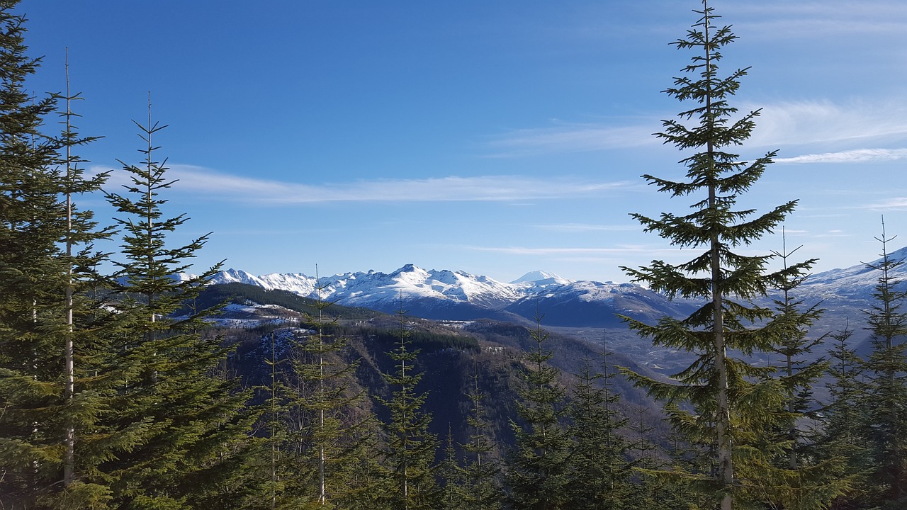 a person riding skis on top of a snow covered slope, a picture, inspired by François Quesnel, les nabis, overlooking a valley with trees, clear blue skies, solo hiking in mountains trees, early spring