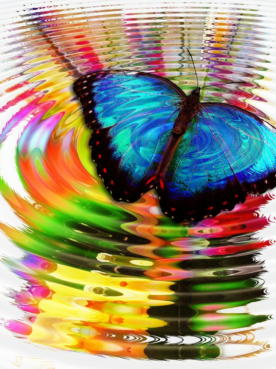 a blue butterfly sitting on top of a colorful object, by Jon Coffelt, flickr, psychedelic art, rippling reflections, photoshop water art, digital art - w 640, butterfly jewelry