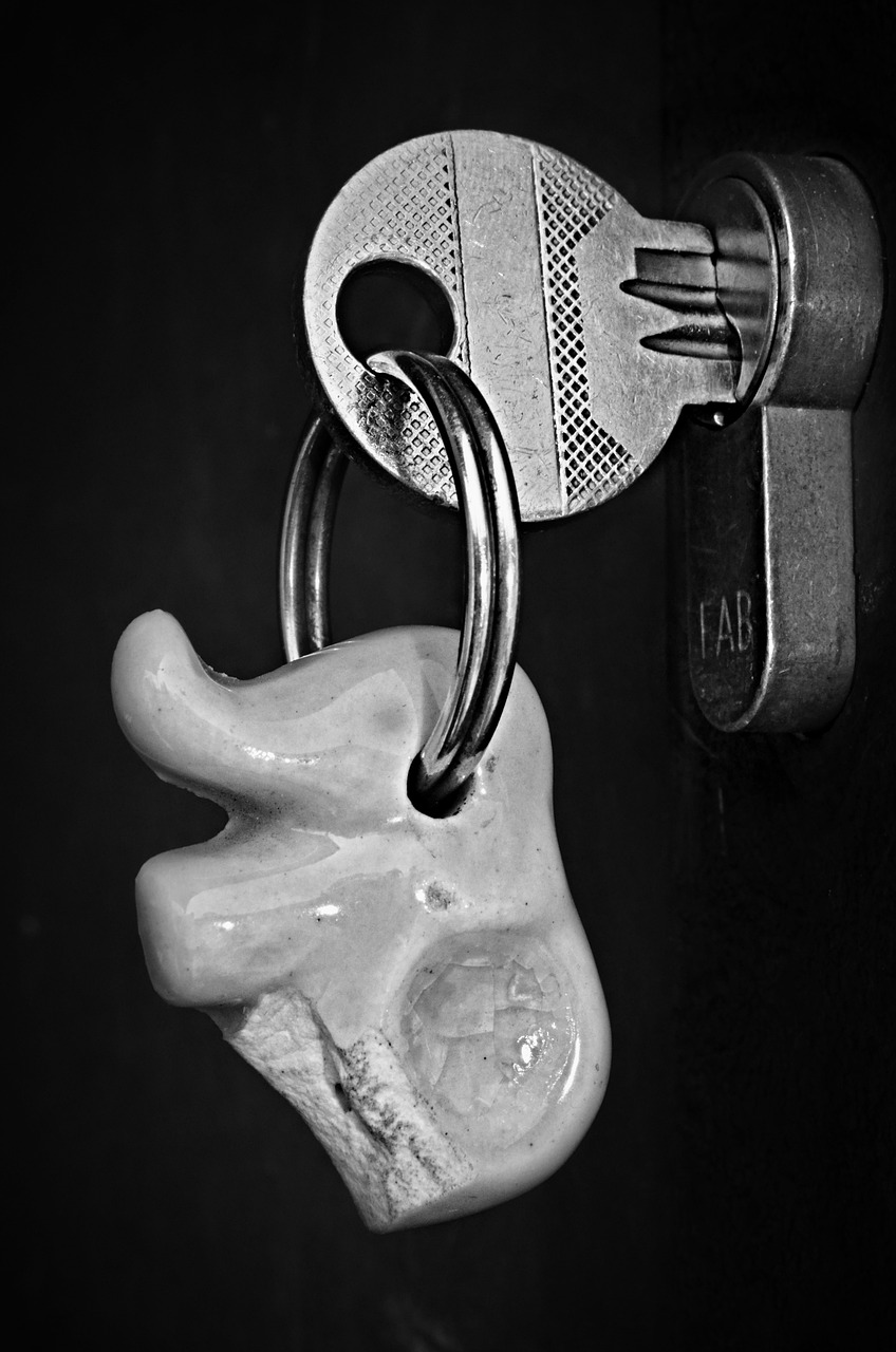 a black and white photo of a hand holding a key, a macro photograph, by Tom Carapic, d20 made of teeth, left ear, hdr photo, porcelain