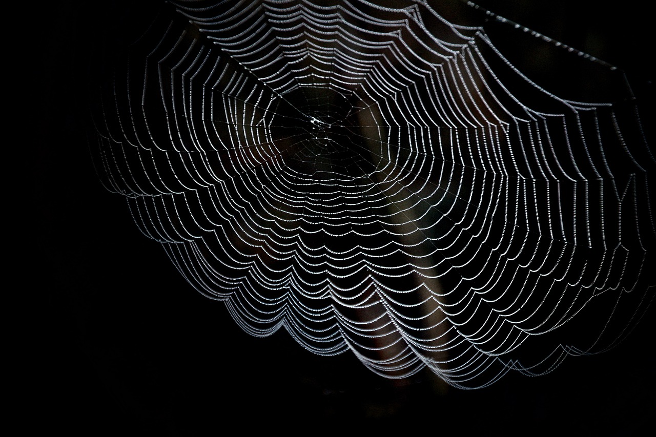 a close up of a spider web in the dark, camera angle from below, stacked image, istock, difraction from back light