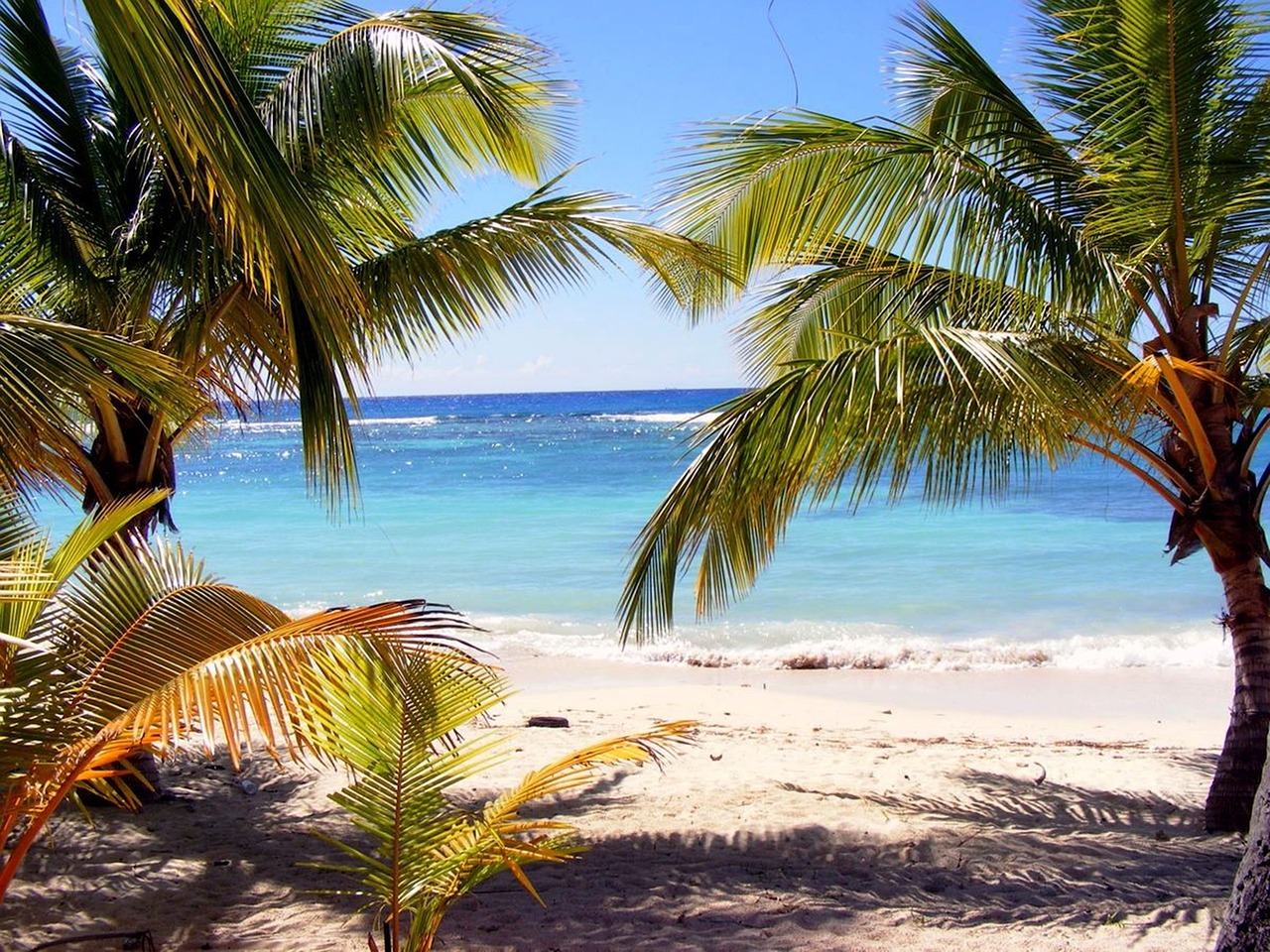 a couple of palm trees sitting on top of a sandy beach, a picture, iphone wallpaper, tropical reef, 4 0 9 6