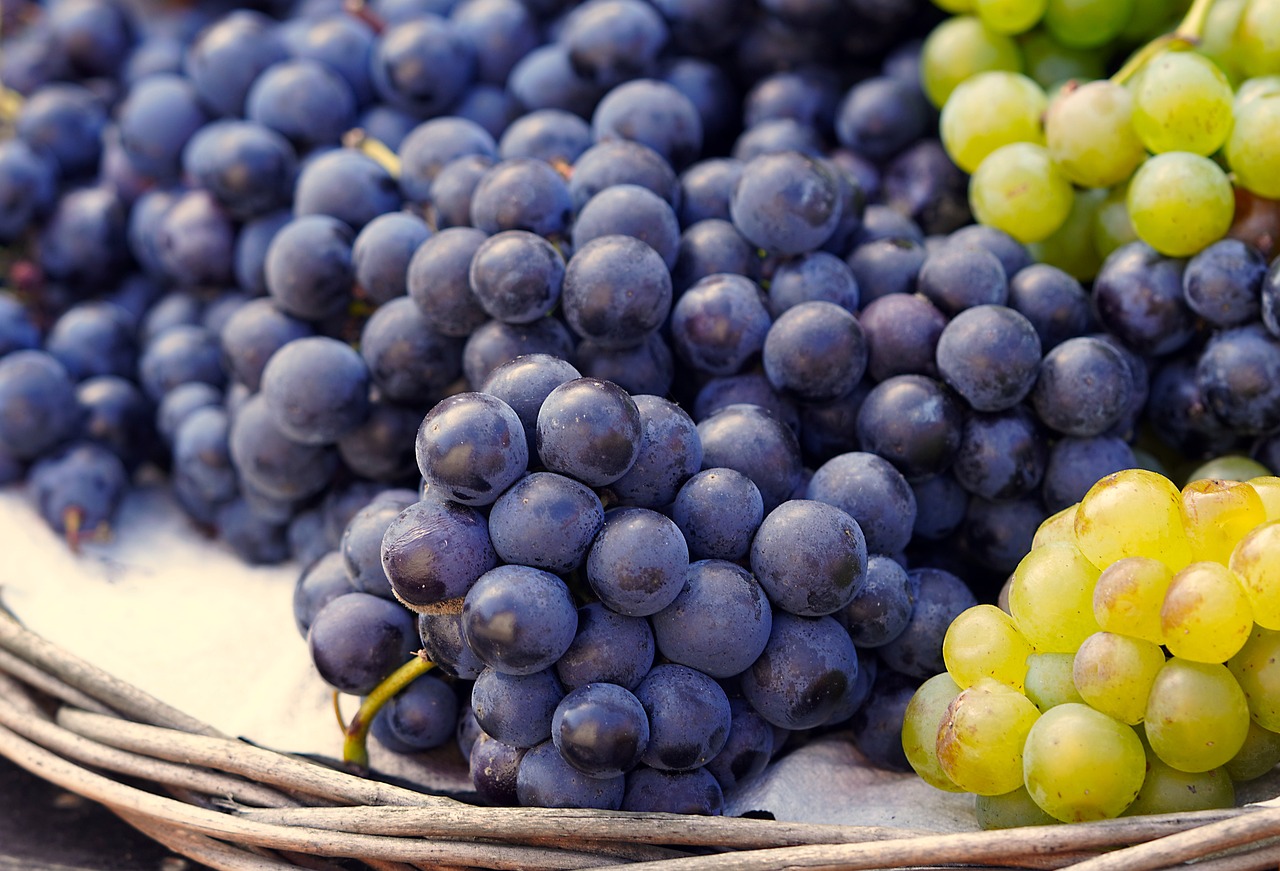 a basket of grapes sitting on top of a table, a picture, by Julian Hatton, shutterstock, bottom body close up, high quality product image”, purple and blue and green colors, close up details