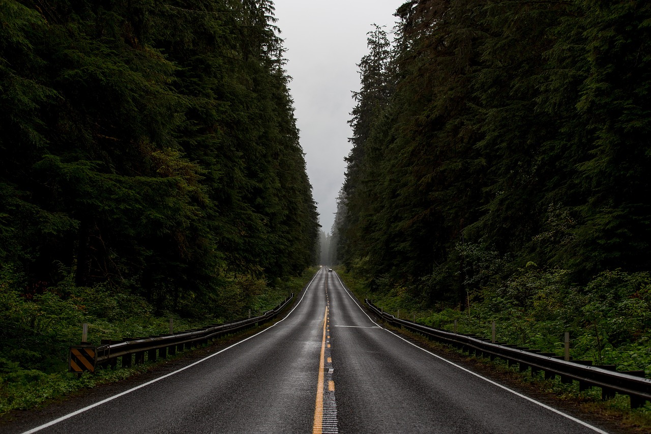 an empty road in the middle of a forest, a picture, postminimalism, pacific northwest coast, slight overcast, highways, front perspective