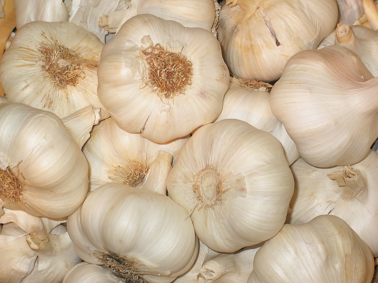 a pile of garlic sitting on top of a table, inspired by Carpoforo Tencalla, pixabay, hurufiyya, boissb - blanca. j, 3 2 x 3 2, detailed zoom photo, albino dwarf