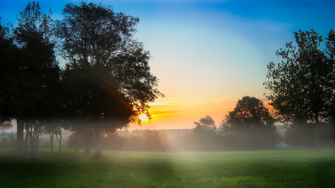 the sun is setting behind the trees in the fog, a picture, by Karl Hagedorn, shutterstock, the brilliant dawn on the meadow, god rays!!!, (((mist))), at gentle dawn green light