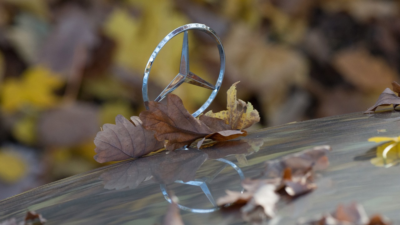 a peace sign sitting on top of a car covered in leaves, a picture, by Thomas Häfner, pixabay, mercedez benz, metalic reflection, autum, mercedes