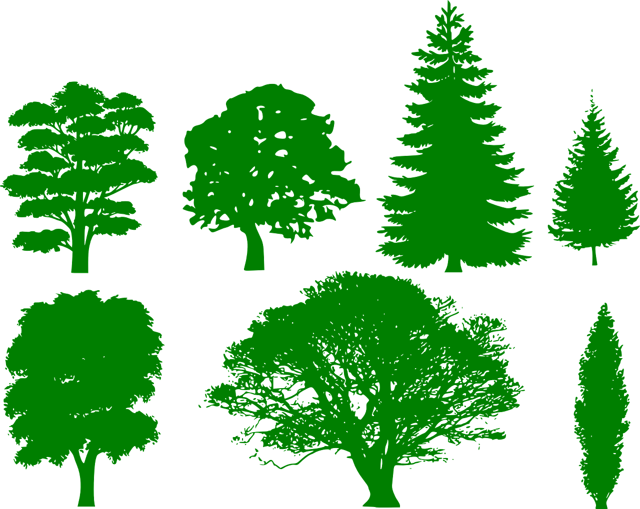 a collection of green trees on a black background, a raytraced image, inspired by Masamitsu Ōta, black backround. inkscape, thumbnail, screens, engraved