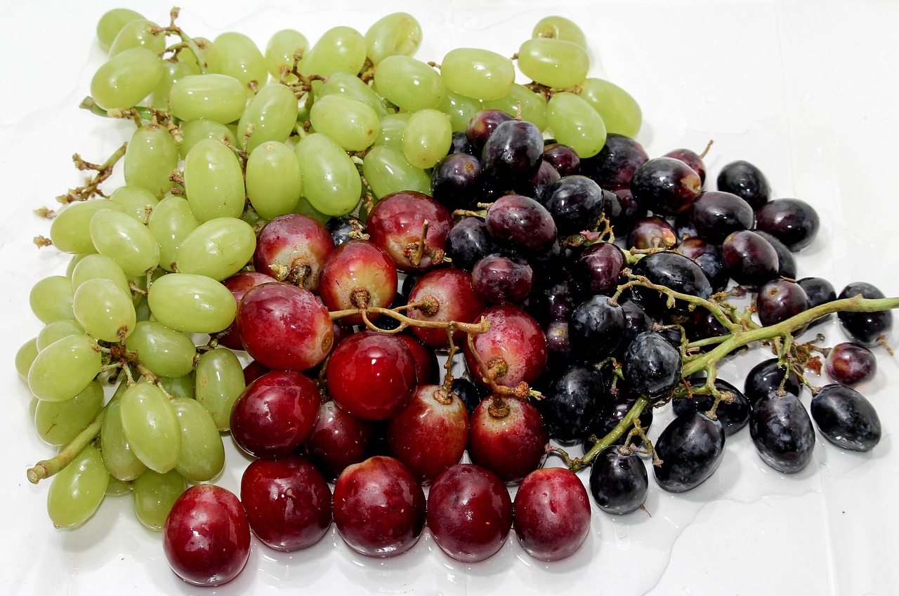 a pile of grapes sitting on top of a white table, a picture, three colors, half body photo