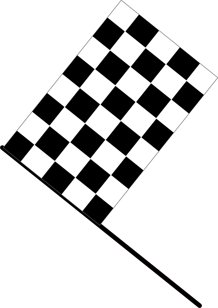 a black and white checkered flag on a stick, a digital rendering, inspired by Masamitsu Ōta, clear lines!!, beginner, illustration black outlining, an illustration