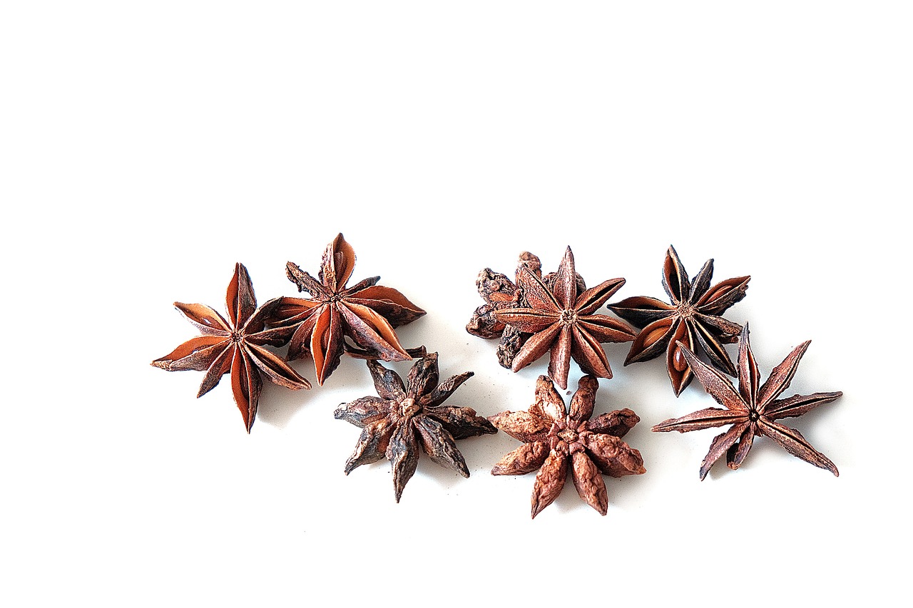 a bunch of star anise on a white surface, by Liao Chi-chun, hurufiyya, detailed product photo, 5 years old, 🦩🪐🐞👩🏻🦳, with a white background