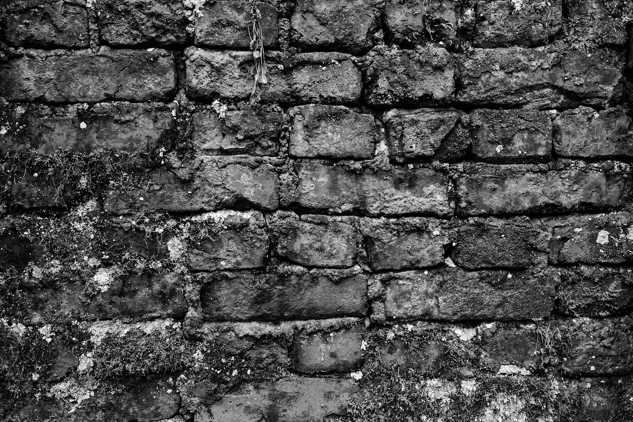 a black and white photo of a brick wall, a black and white photo, by Ivana Kobilca, pexels, moldy, background image, !! low contrast!!, treasure on walls