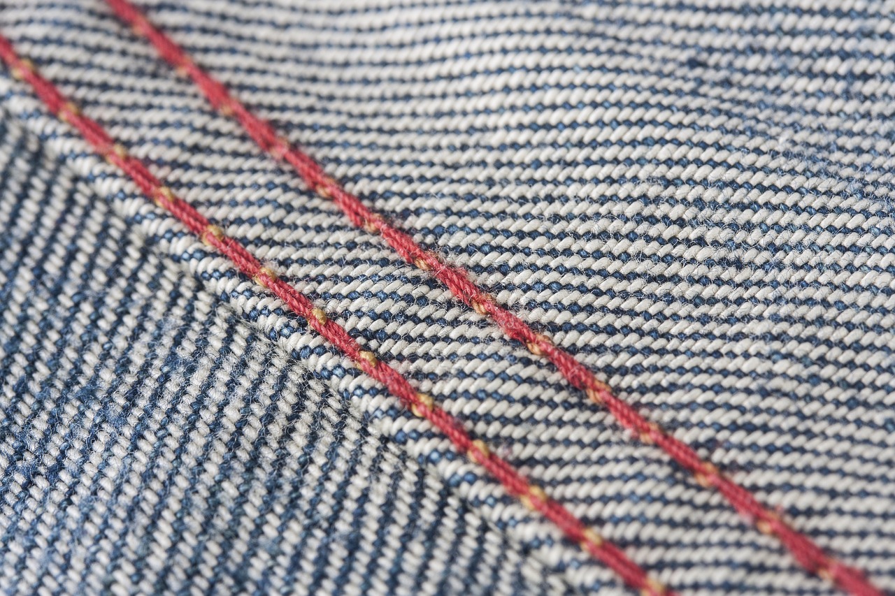 a close up of a pair of jeans, inspired by Katsushika Ōi, unsplash, sōsaku hanga, thin red lines, very detailed!, very sparse detail, very very well detailed image