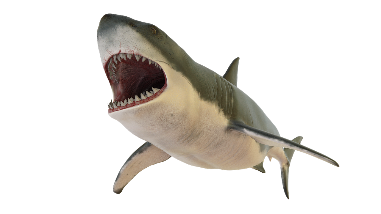 a close up of a shark with its mouth open, an illustration of, by Bob Ringwood, shutterstock, rendered in maya and houdini, sharp high detail illustration, raytraced render, 3ds max rendered