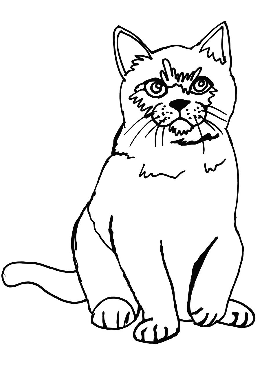 a black and white drawing of a cat, lineart, trending on pixabay, persian cat, sittin, a brightly colored, full body view