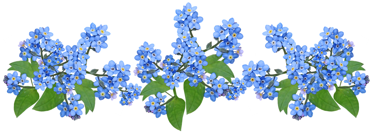 a group of blue flowers with green leaves, a digital rendering, flickr, hurufiyya, avatar image, seasons!! : 🌸 ☀ 🍂 ❄, liam, with a black background