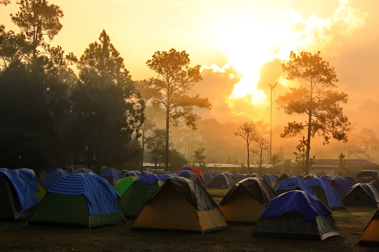 a group of tents sitting on top of a lush green field, by Bernardino Mei, flickr, happening, beautiful sunrise, pine forest, tournament, warm and joyful atmosphere