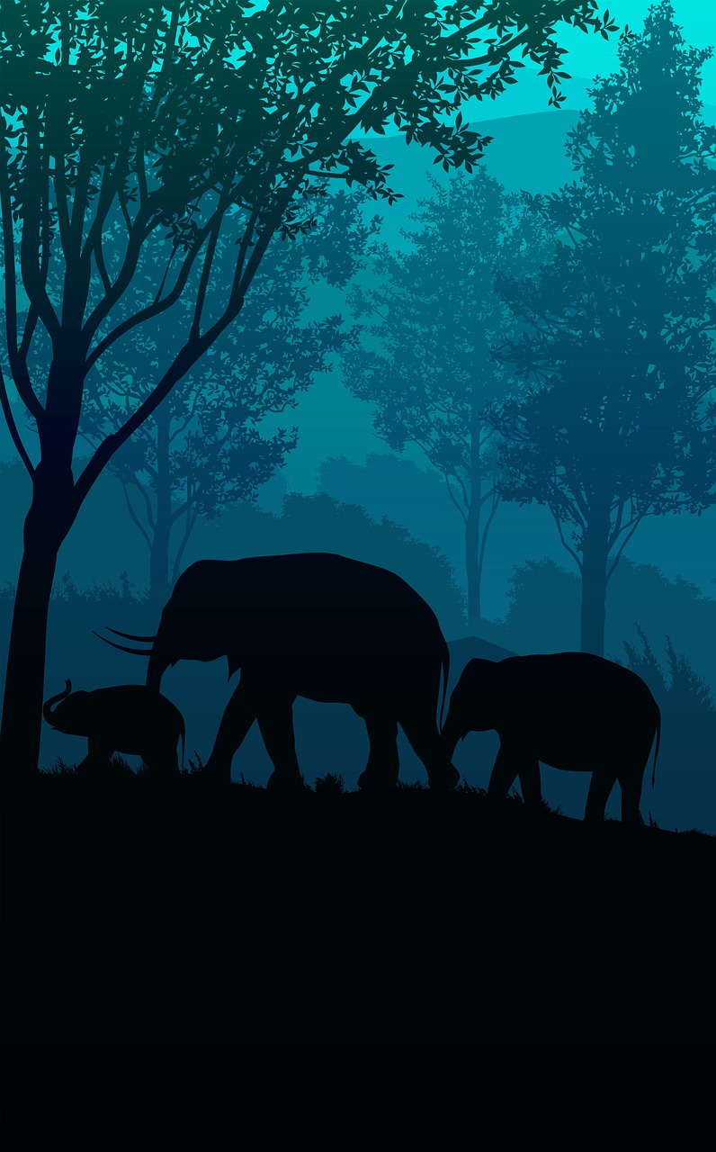 a herd of elephants walking across a lush green forest, an illustration of, blue hour, black silhouette, family portrait, foggy jungle in the background