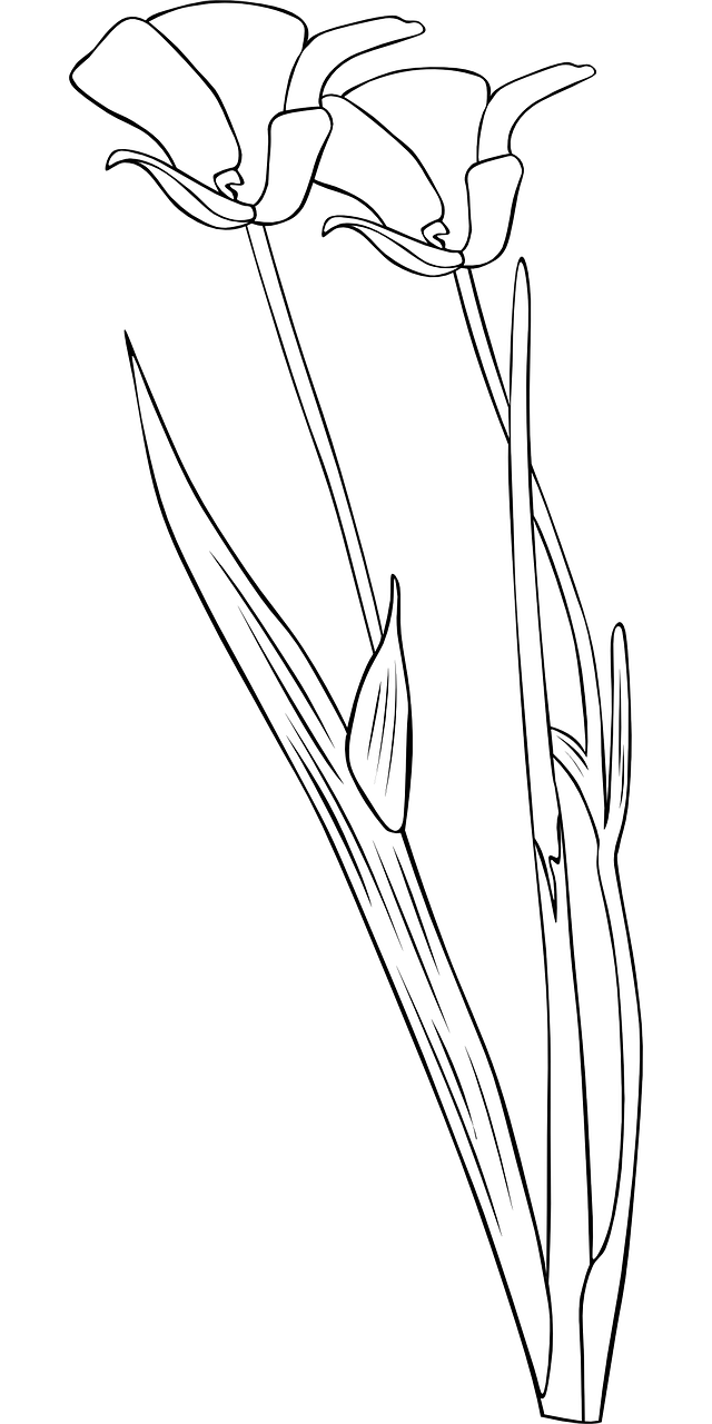 two white flowers on a black background, an abstract drawing, inspired by Katsushika Ōi, deviantart, long thick grass, ( ( dithered ) ), neck zoomed in, stylised graphic novel