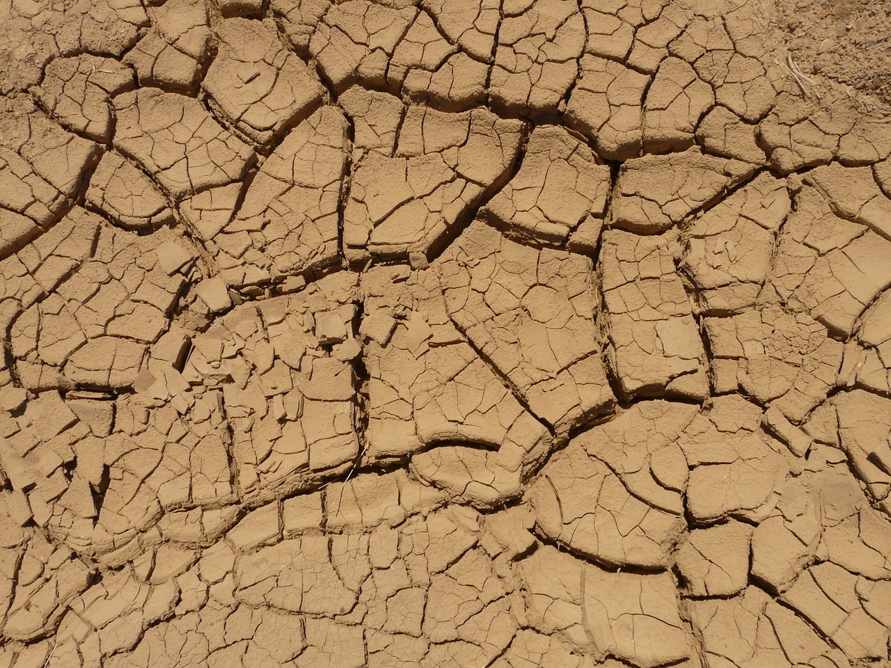 a close up of a crack in the ground, by Viktor de Jeney, flickr, land art, cracked dry lake bed, shade, looking happy, muddy embankment