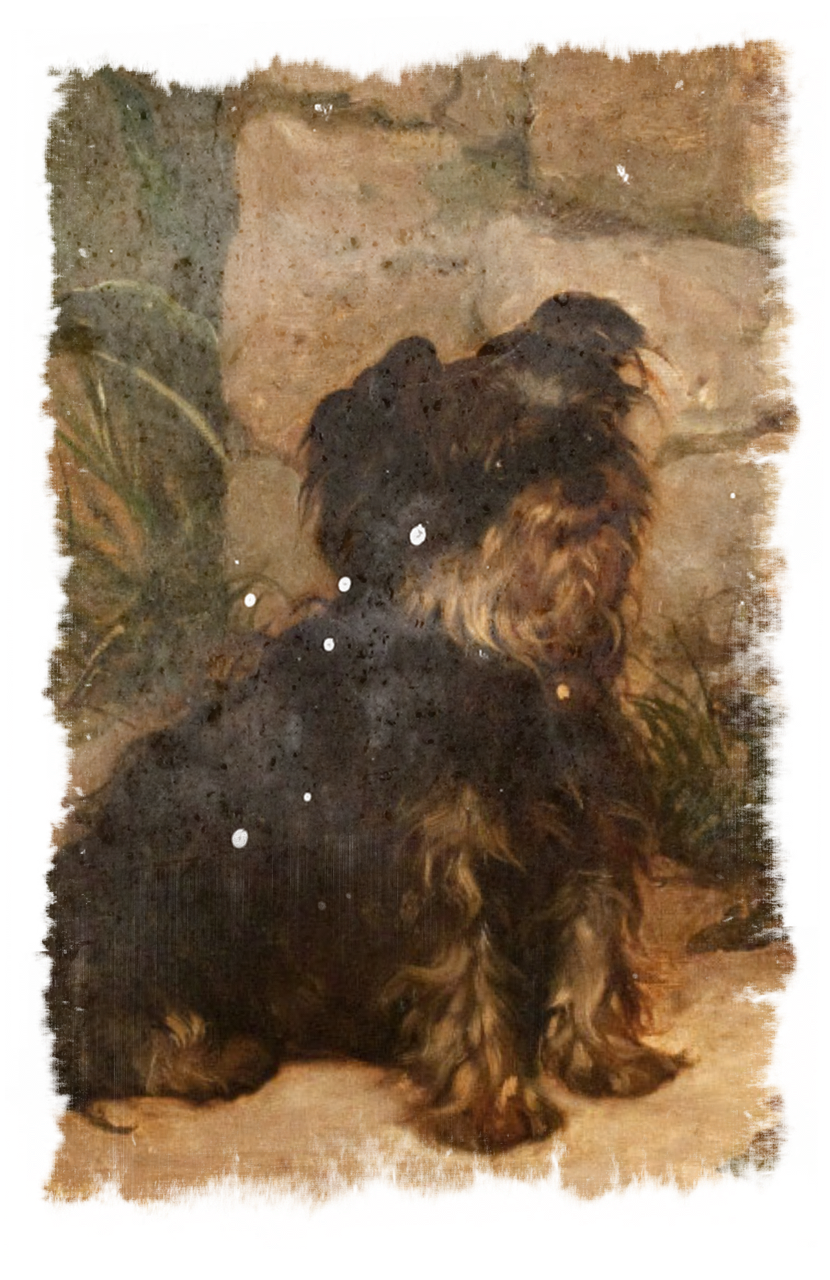 a painting of a dog sitting in front of a stone wall, a portrait, by Joseph von Führich, flickr, yorkshire terrier, dark oil paint, detailed painting“, photo of a beautiful