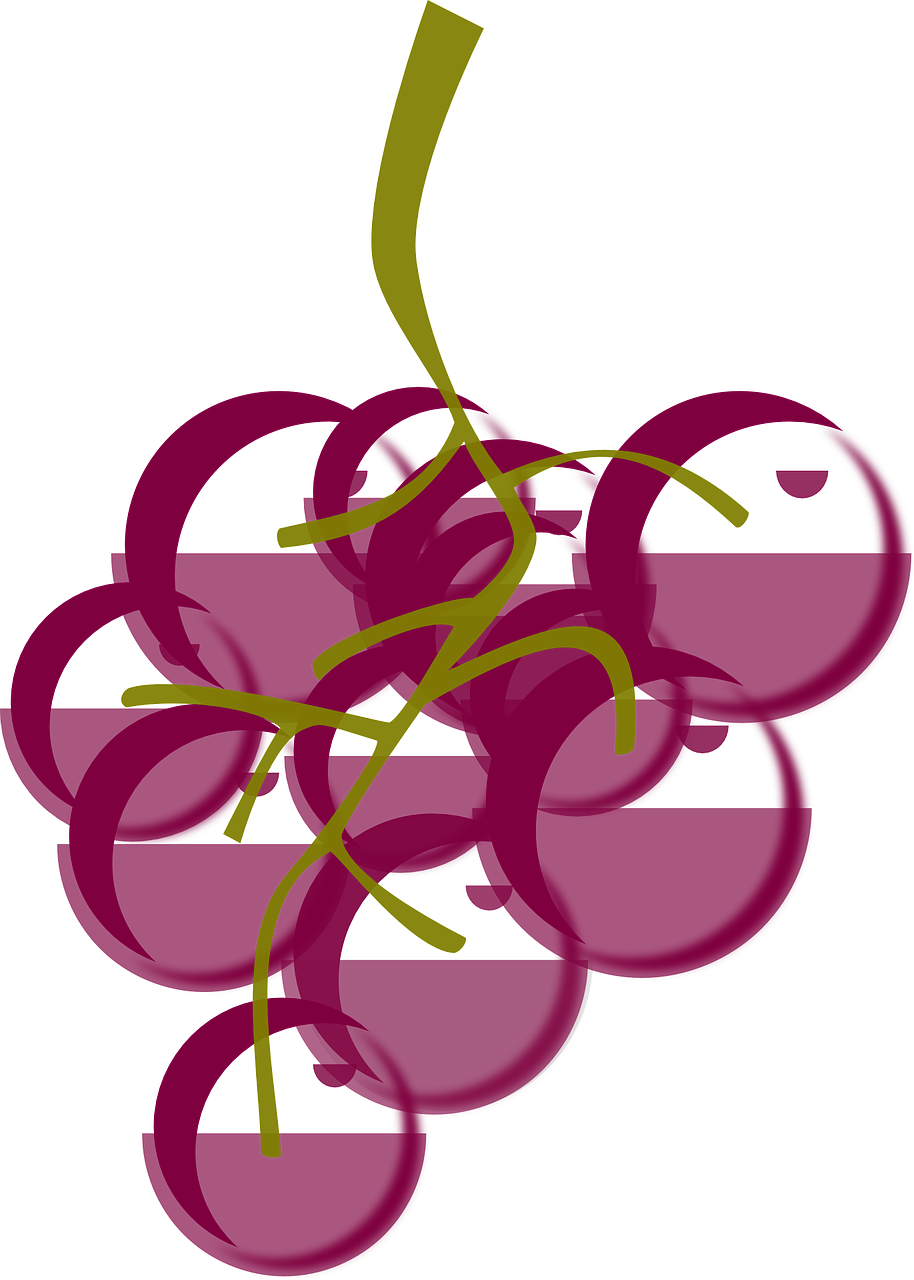 a bunch of grapes sitting on top of each other, a digital rendering, inspired by Patrick Caulfield, art nouveau, raspberry, logo without text, [ conceptual art ]!!, screen cap