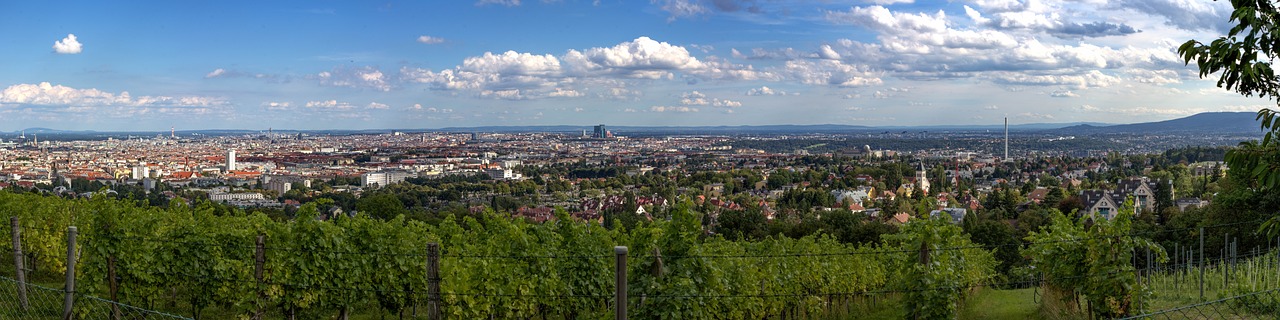 a view of a city from the top of a hill, by Niko Henrichon, pixabay, vineyard, ultrawide lens”, hannover, nice weather